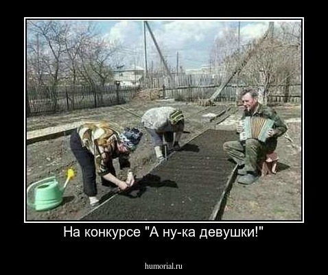 На конкурсе "А ну-ка девушки!"