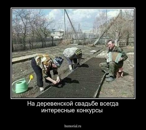 На деревенской свадьбе всегда интересные конкурсы 