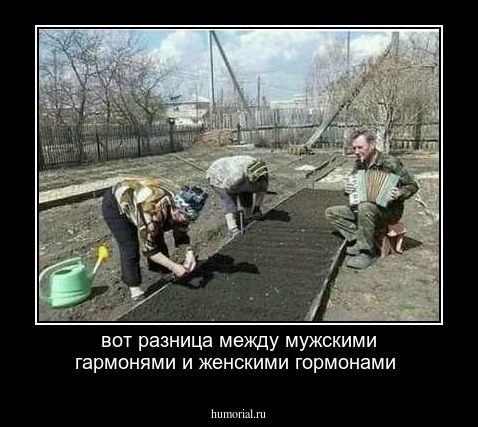 вот разница между мужскими гармонями и женскими гормонами 