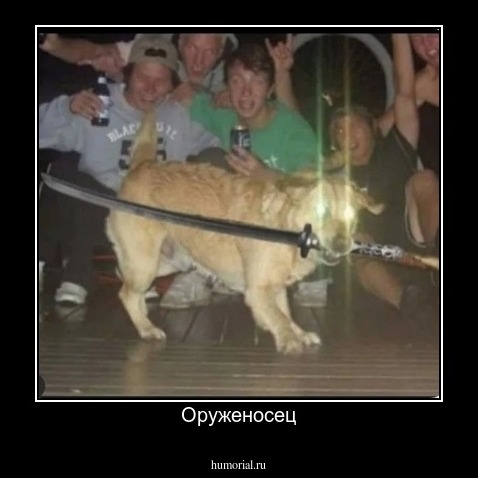 Оруженосец