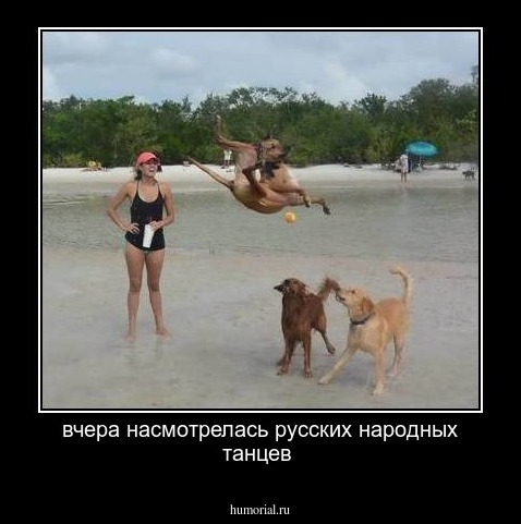 вчера насмотрелась русских народных танцев 