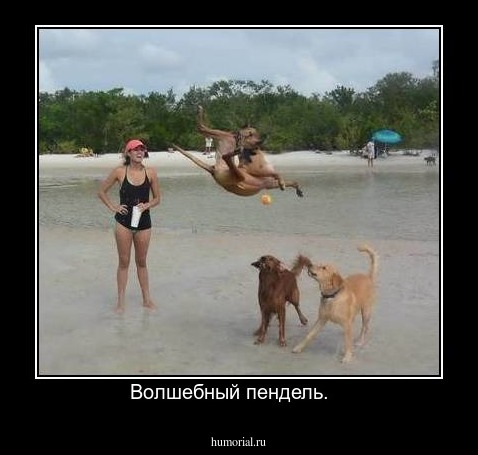 Волшебный пендель.   