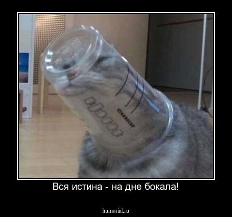 Вся истина - на дне бокала!