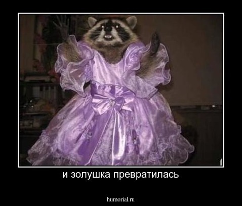 и золушка превратилась