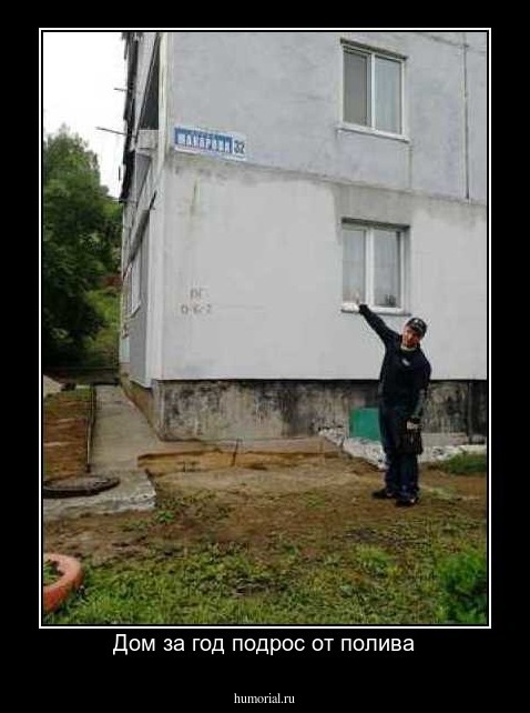Дом за год подрос от полива
