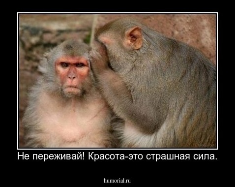 Не переживай! Красота-это страшная сила.