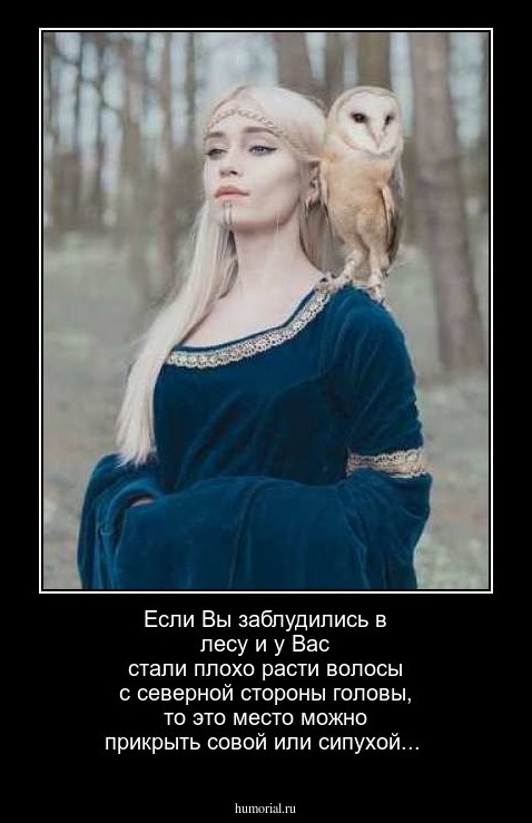 Если Вы заблудились в лесу и  у Вас стали плохо расти волосы с северной стороны головы, то это место можно прикрыть совой или сипухой...