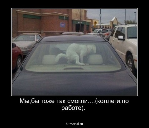 Мы,бы тоже так смогли....(коллеги,по работе).