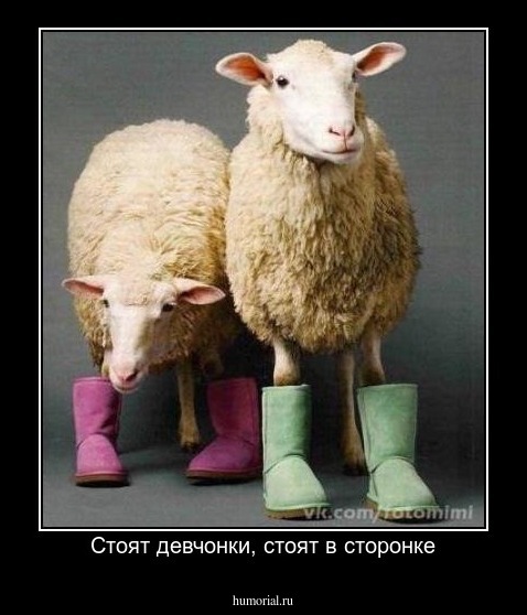 Стоят девчонки, стоят в сторонке