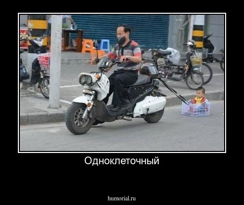 Одноклеточный
