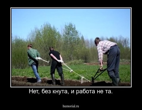 Нет, без кнута, и работа не та.