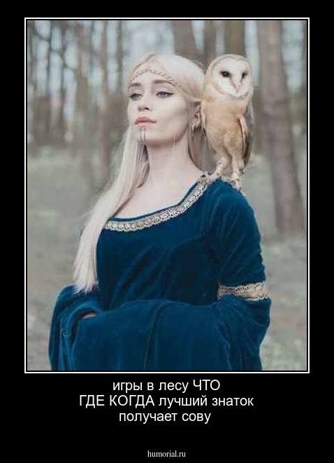 игры в лесу ЧТО ГДЕ КОГДА  лучший знаток получает сову 