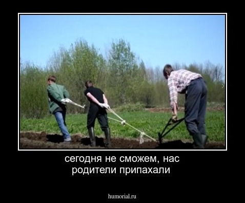 сегодня не сможем, нас родители припахали
