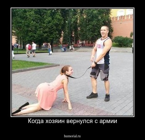 Когда хозяин вернулся с армии