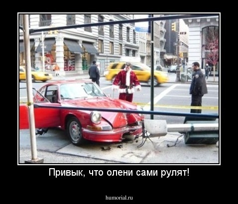 Привык, что олени сами рулят!