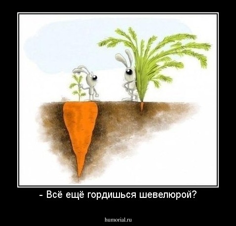 - Всё ещё гордишься шевелюрой?