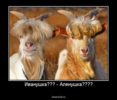 Иванушка??? - Аленушка????