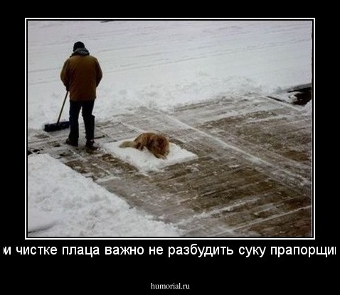 При чистке плаца важно не разбудить суку прапорщика.