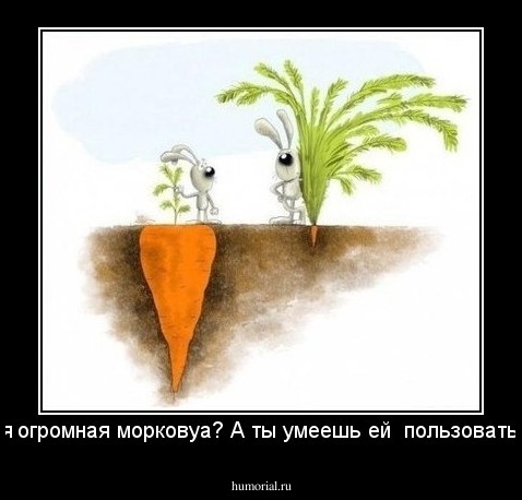 У тебя огромная морковка? А ты умеешь ей  пользоваться???