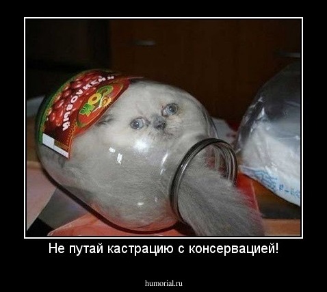 Не путай кастрацию с консервацией!