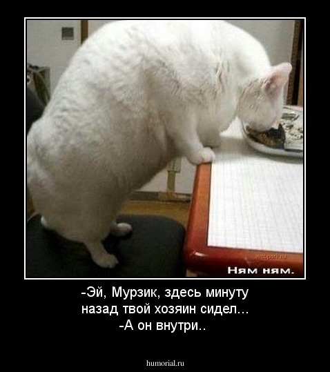 -Эй, Мурзик, здесь минуту назад твой хозяин сидел... 
-А он внутри.. 