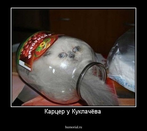Карцер у Куклачёва 