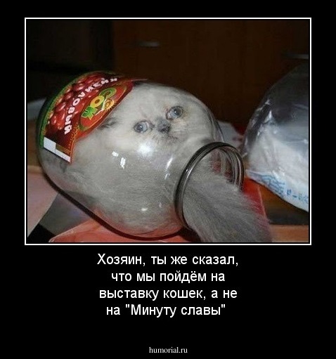 Хозяин, ты же сказал, что мы пойдём на выставку кошек, а не на "Минуту славы"