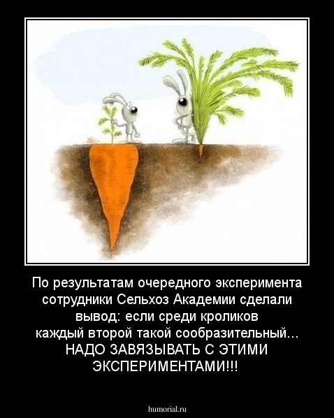 По результатам очередного эксперимента сотрудники Сельхоз Академии сделали вывод: если среди кроликов каждый второй такой сообразительный... НАДО ЗАВЯЗЫВАТЬ С ЭТИМИ ЭКСПЕРИМЕНТАМИ!!!