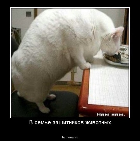 В семье защитников животных