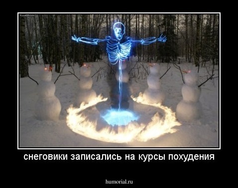снеговики записались на курсы похудения