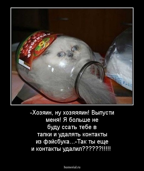 -Хозяин, ну хозяяяин! Выпусти меня! Я больше не буду ссать тебе в тапки и удалять контакты из фэйсбука...-Так ты еще и контакты удалил??????!!!!!