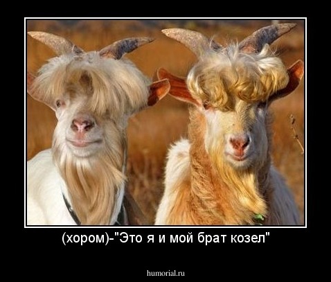 (хором)-"Это я и мой брат козел"