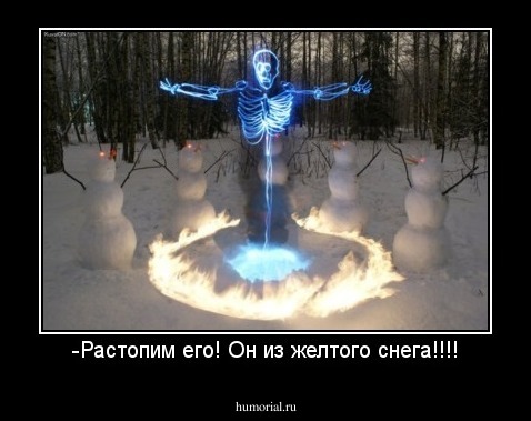 -Растопим его! Он из желтого снега!!!!