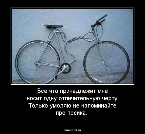 Все что принадлежит мне носит одну отличительную черту. Только умоляю не напоминайте про песика. 