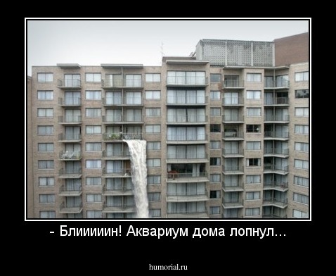 - Блииииин! Аквариум дома лопнул...