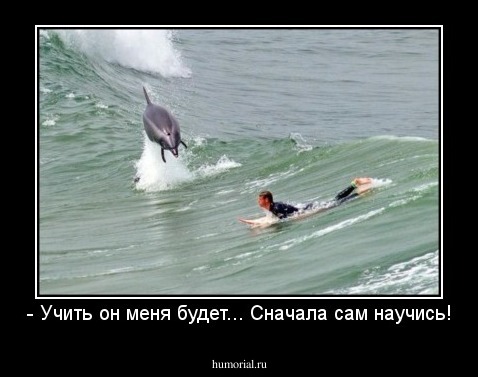 - Учить он меня будет... Сначала сам научись!
