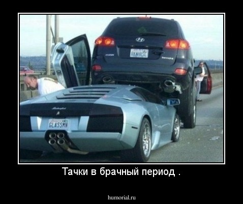 Тачки в брачный период .
