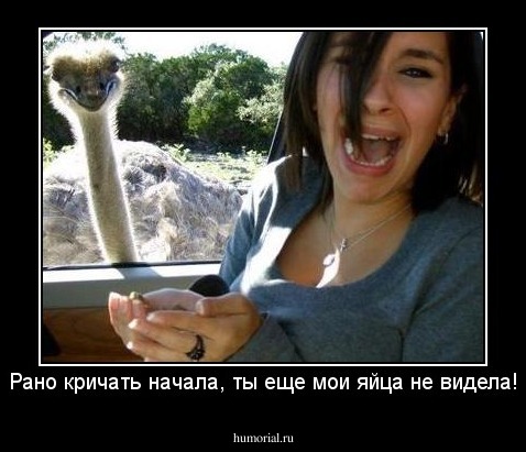Рано кричать начала, ты еще мои яйца не видела!