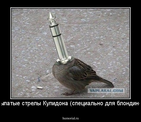 Крылатые стрелы Купидона (специально для блондинок).