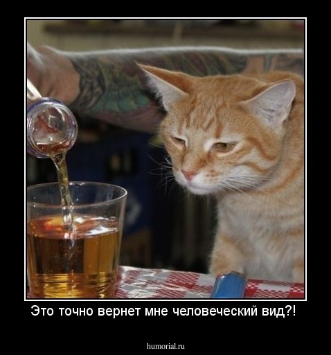Это точно вернет мне человеческий вид?! 