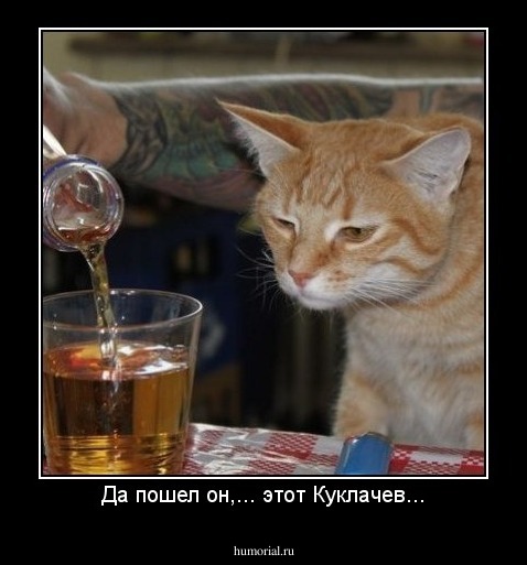 Да пошел он,... этот Куклачев...