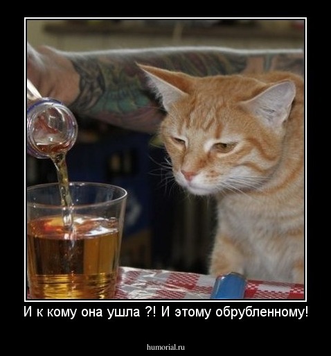 И к кому она ушла ?! И этому обрубленному!