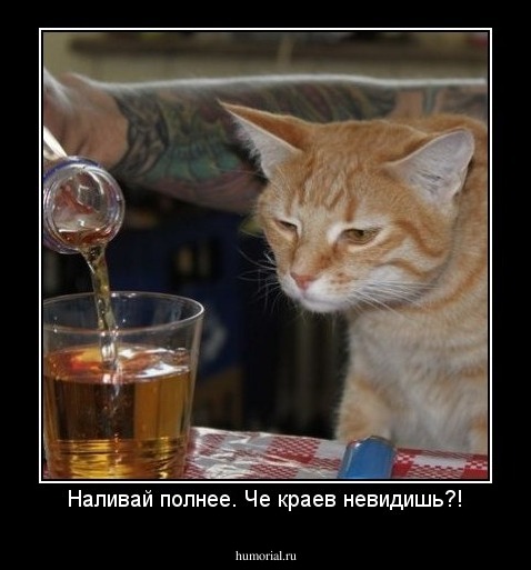 Наливай полнее. Че краев невидишь?!