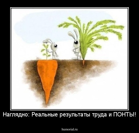 Наглядно: Реальные результаты труда и ПОНТЫ!