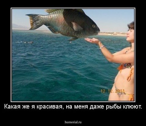 Какая же я красивая, на меня даже рыбы клюют.