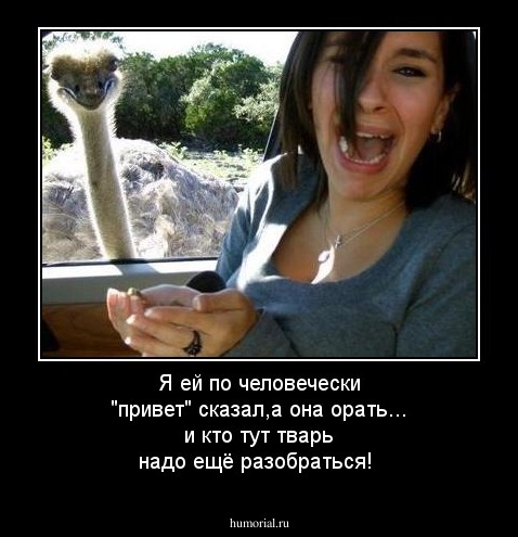 Я ей  по человечески "привет" сказал,а  она орать... и кто тут тварь надо ещё разобраться!