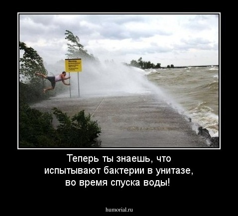 Теперь ты знаешь, что испытывают бактерии в унитазе, во время спуска воды!