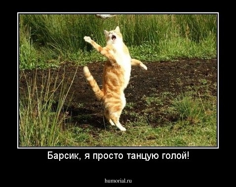 Барсик, я просто танцую голой!