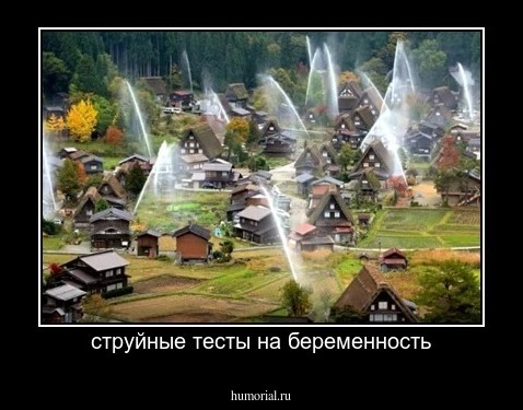 струйные тесты на беременность