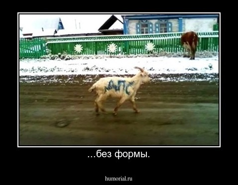 ...без формы.
